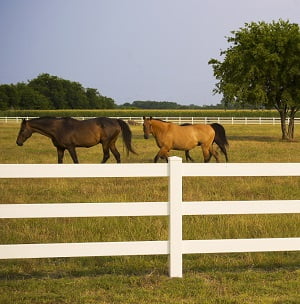 Vinyl Ranch Rail Fence – The Best Choice for Your Farm or Ranch